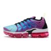 Vapor Max Plus, pink-blue