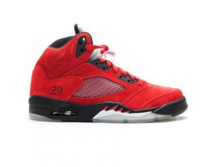 Air Jordan 5, raging bull