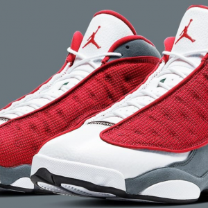 Court Panther Mesh Series 13