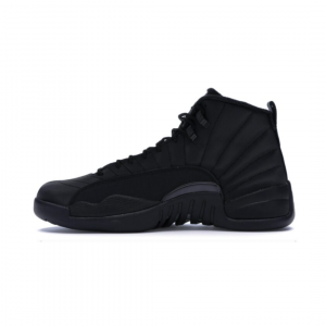 Air Jordan 12, retro winter