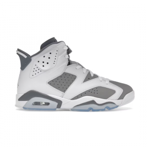 Air Jordan 6 Retro, cool grey