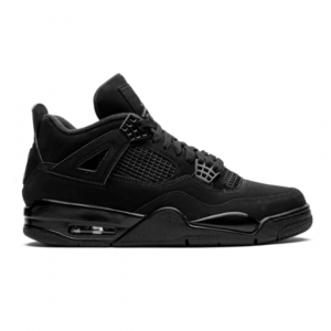 Air Jordan 4, black cat